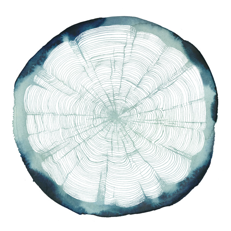 «Tree Ring Overlay II» par Grace Popp, reproduction d'art sur toile tendue, H 20 po x l 20 po