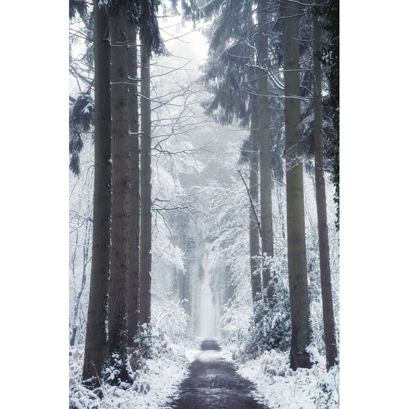 «Welcome to Narnia» par Martin Podt - reproduction d'art sur toile tendue, H 12 po x l 8 po x P 1,25 po