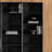 Light luxury black bookcase