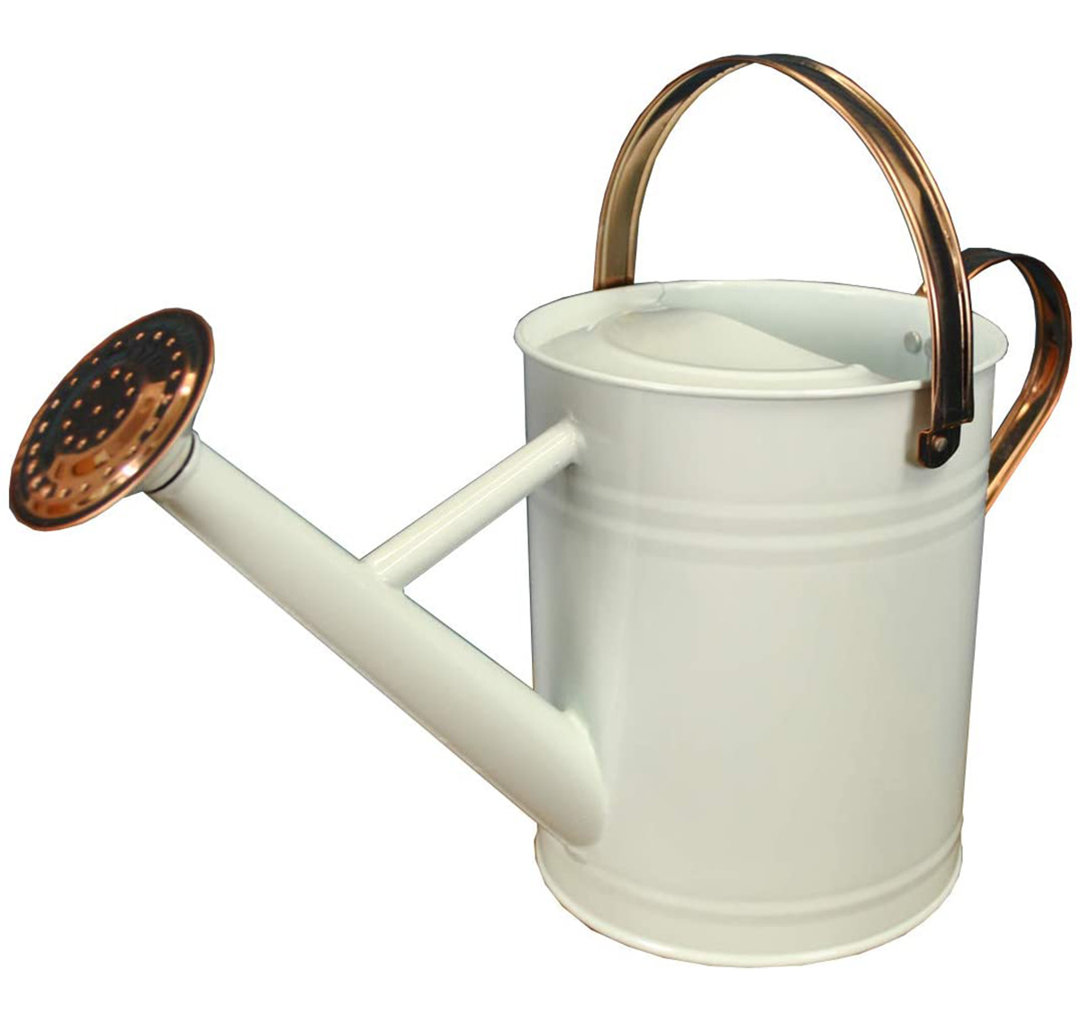 Metal Watering Can