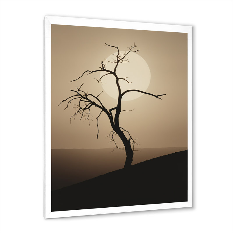 Minimalisme clair de lune, désert, simplicité, H 44 po x l 34 po x P 1,5 po, Cadre simple blanc