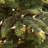 Lighted Fir Christmas Tree-870616610