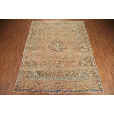 Traditional   Area Rug 10x12