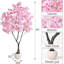 Plant-814973147