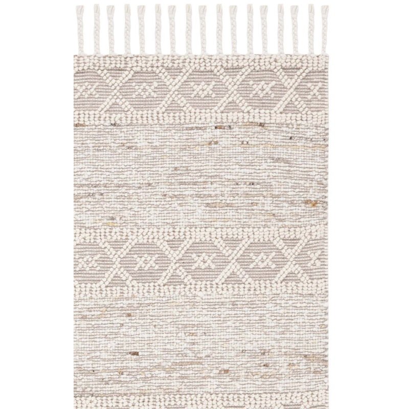 Areionna Hand Woven Wool/Cotton Southwestern Rug in Beige/Ivory, Rectangle 8' x 10'