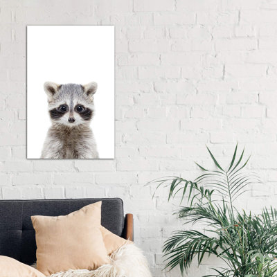 'Baby Raccoon' Photographic Print on Wrapped Canvas