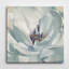 Iridescent Bloom II - impression-21774641