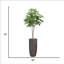 Sycomore artificiel en pot 79 "-97863864