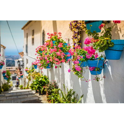 Flower Pots in Facades - Photographie sur toile tendue