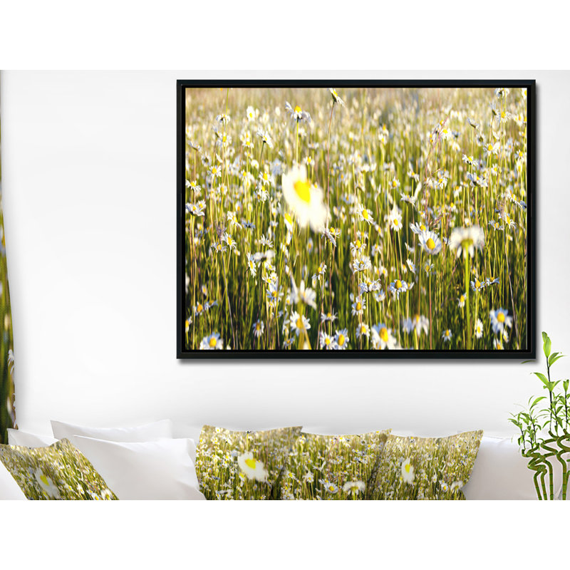 «Wild Chamomile Flowers Field», reproduction de photo sur toile tendue encadrée, H 30 po x l 40 po x P 1,5 po, Cadre noir