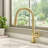 Ruvati Simoni Brushed Gold Kitchen Faucet Single Handle Traditional Farmhouse with Pull Down Spray Hose-114397000