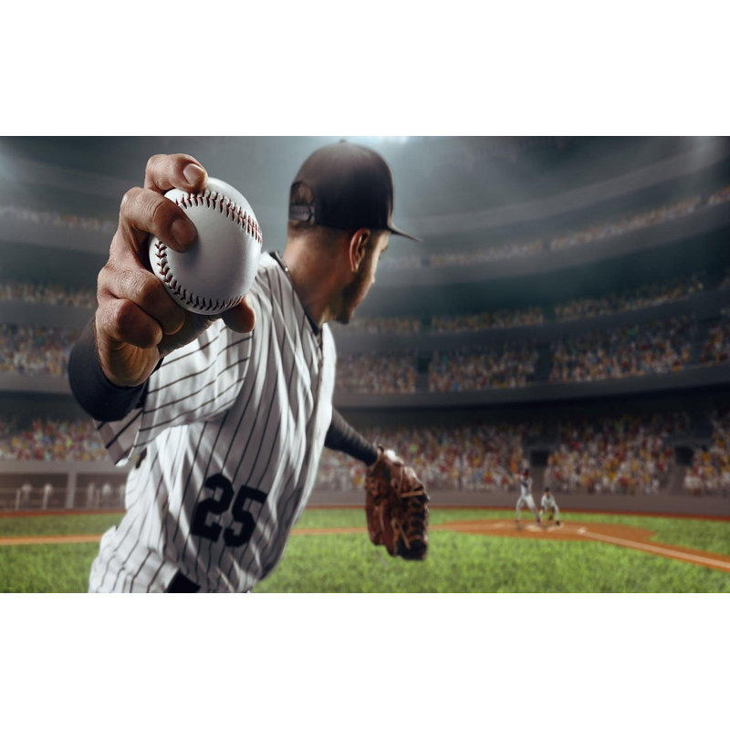 Premium Wallpaper Wall Mural - Baseball Pitch Action, 108" L x 150" W