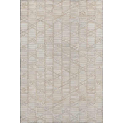  Premium Machine Washable Jaylia AMF99 Rug