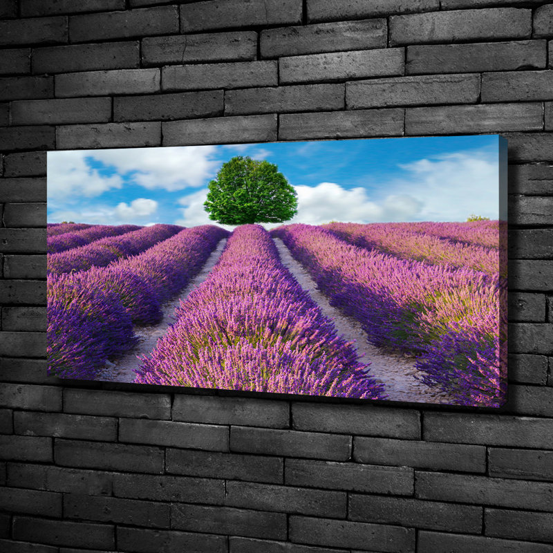 Lavender Field - No Frame Print on Canvas