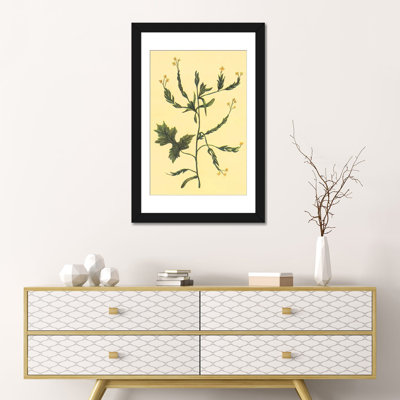 «Hedge Mustard», reproduction sur toile