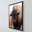 "American Bison IV" par Debra Van Swearingen, reproduction sur toile dans un cadre flottant noir-110965465