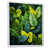 White Floater Framed