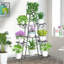 Anterrio Plant Stand