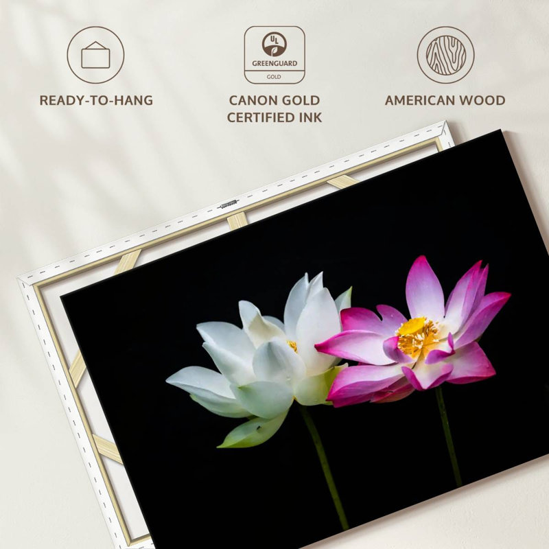 Fleurs de lotus roses et blanches Harnek, H 8 po x l 12 po