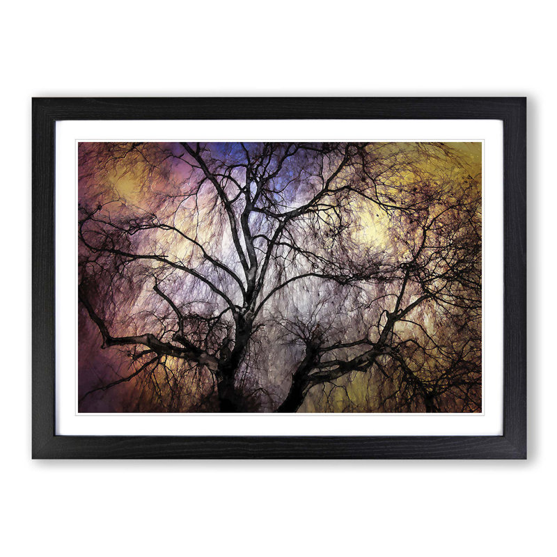 Weeping Willow Tree in Abstract - Picture Frame Graphic Art Print, 50cm H x 76cm W x 2cm D, Black