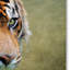 «On the Prowl Bengal Tiger», impression sur toile tendue Vidur-22070781