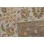 Wool Oriental Area Rug in Ivory