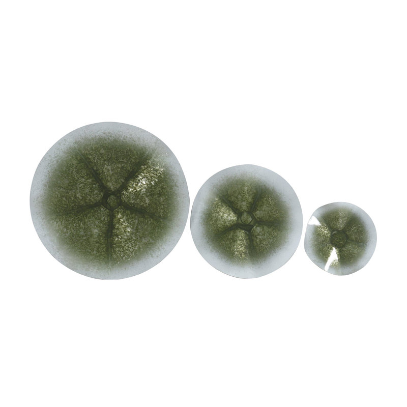 Estelle 3-Piece Coastal Green Wall Accent