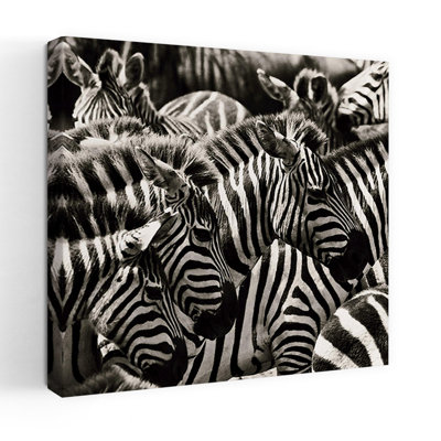Camouflage II, art zébré contemporain