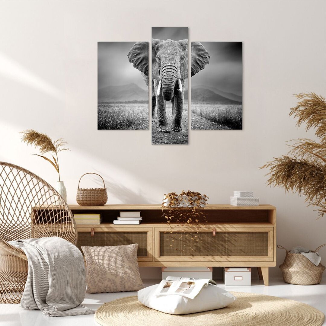 3-tlg. Leinwandbilder-Set Elephant Wildness Nature