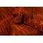 Tapis indien tribal en laine de style Gabbeh 6 x 6