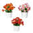Assortment 2