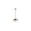 Purist 12-1/2 In. Two-Light Pendant-981494185