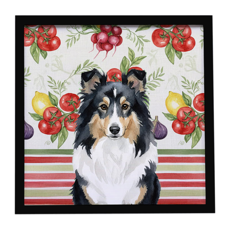 Tricolor Sheltie Vegetables Framed Metal Print, Tricolor