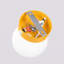Yoli Steel Flush Mounted Sconce-1143084002