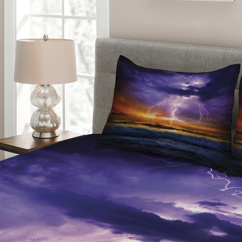 Modern & Contemporary Polyester Coverlet