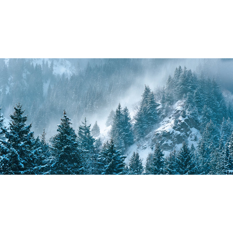 «Mountain Pines in Winter Storm», art mural sur toile tendue, H 27,5 po x l 55 po