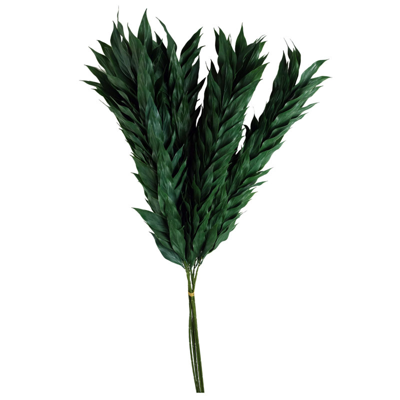 Andarius Arrangement