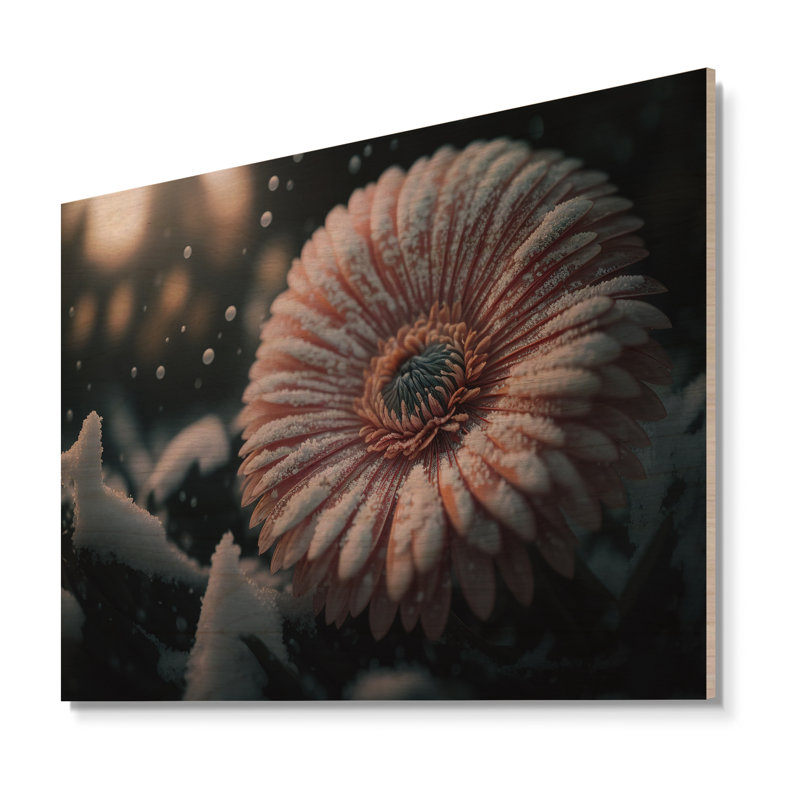 Une fleur de gerbera rose en hiver III - Impression sur toile, Toile encadrée noire à coins fermés