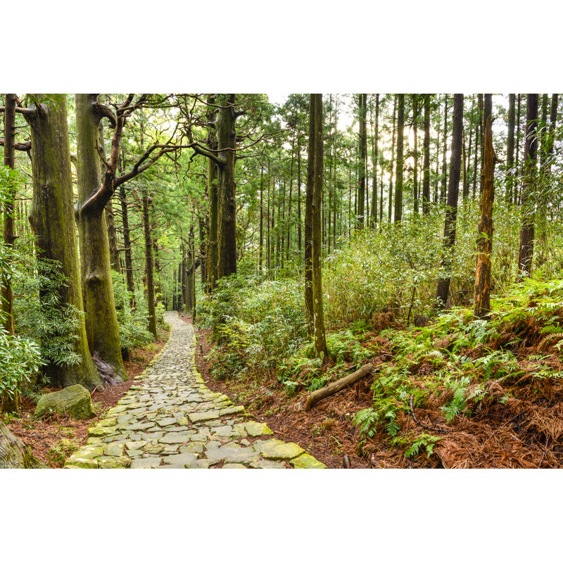 Kumano Kodo - Wrapped Canvas Print, 81cm H x 122cm W