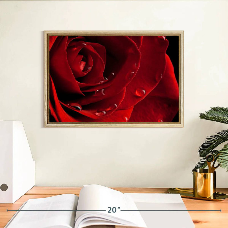Rose rouge fraîche, Cadre flottant en bois naturel, 13 po x 9 po