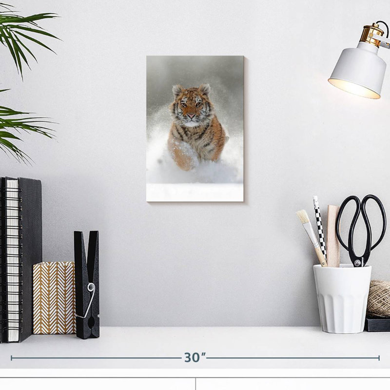 Brampt Amur Tiger, 12" H x 8" W