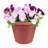 Zenden Pot Planter