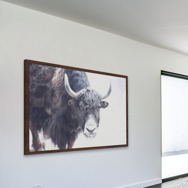 Parvez Taj - Single Picture Frame Print, 61cm H x 91cm W x 3.81cm D