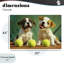 Adorable chiots avec des balles de tennis, toile par Imagine It Images-1888652851