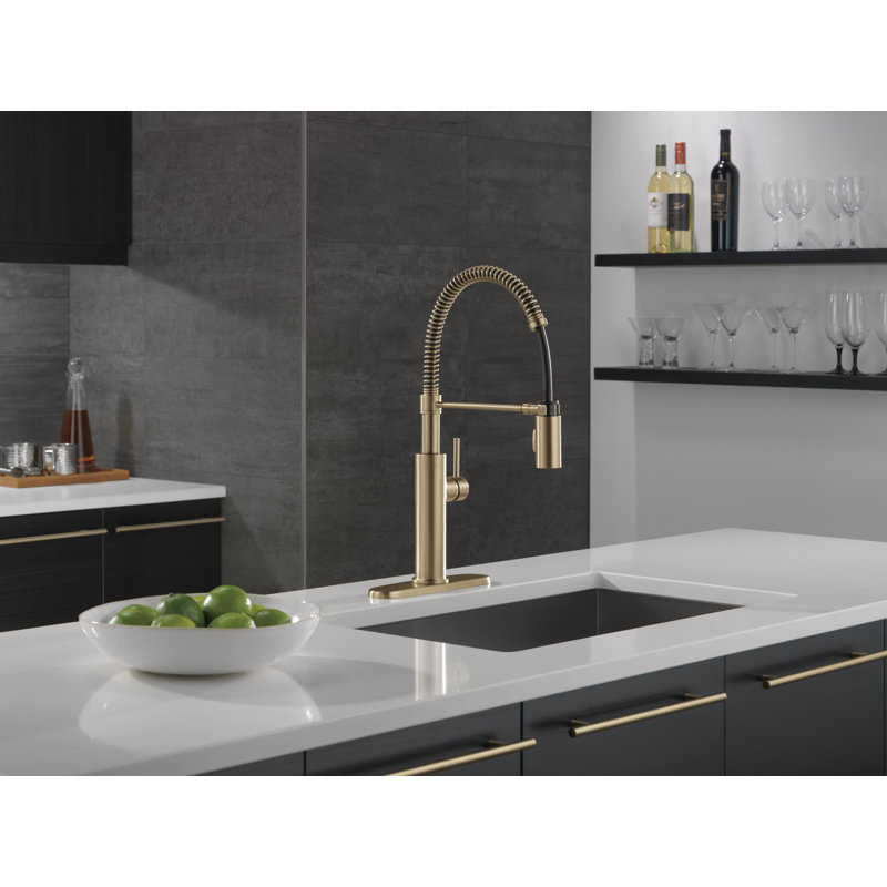 Antoni Pro Commercial Pull Down Sprayer Kitchen Sink Faucet, Champagne Bronze