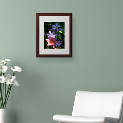 «Clematis and Lily» par Kurt Shaffer, reproduction de photo encadrée