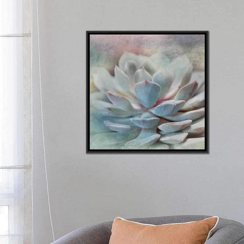 «Pastel Succulent I», impression sur toile, H 18 po x l 18 po x P 1,5 po, Toile avec cadre noir, Pas de tapis
