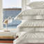 Magnolia_Shams-69674520-69674522