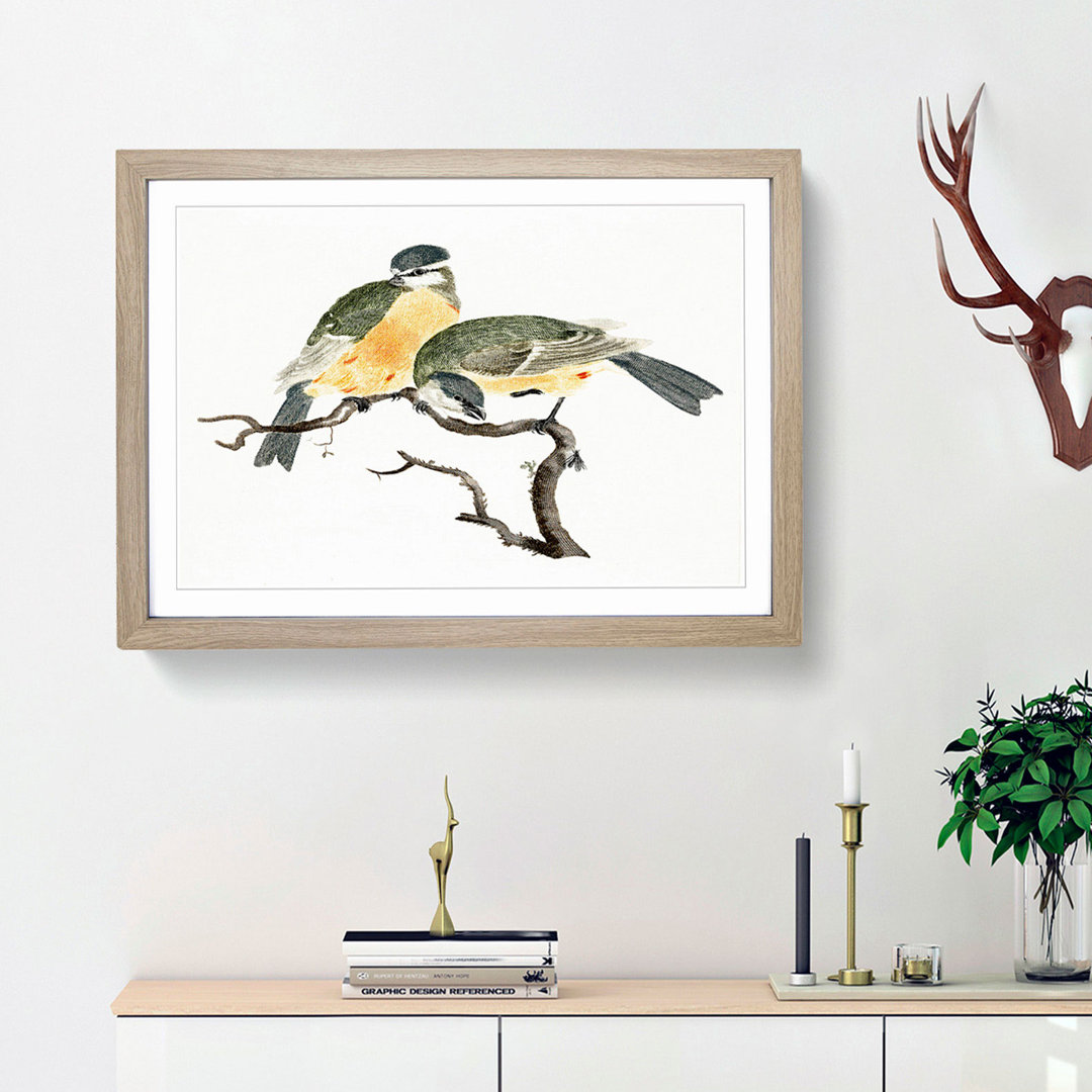 Great Tit Birds by Johan Teyler - Picture Frame Painting Print