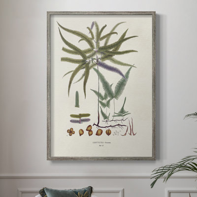 Botanical Society Ferns VIII, reproduction encadrée - bois massif